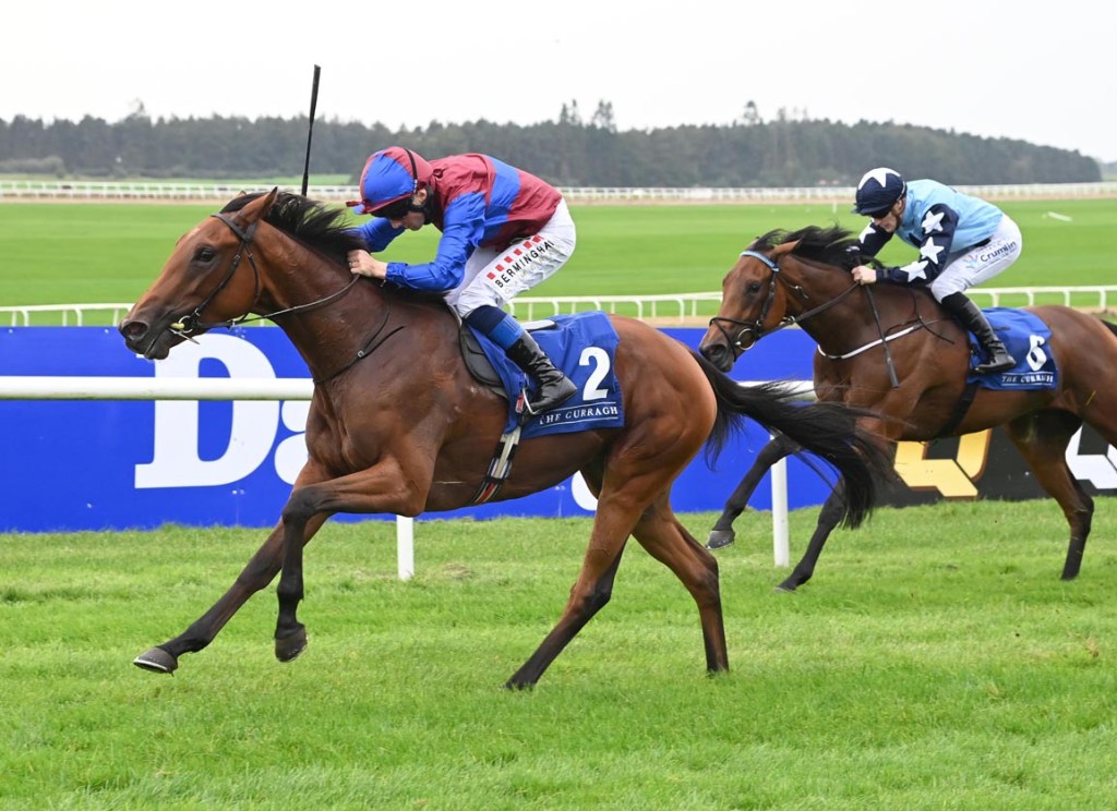 2024年8月22日約克郡橡樹大賽日信心推介