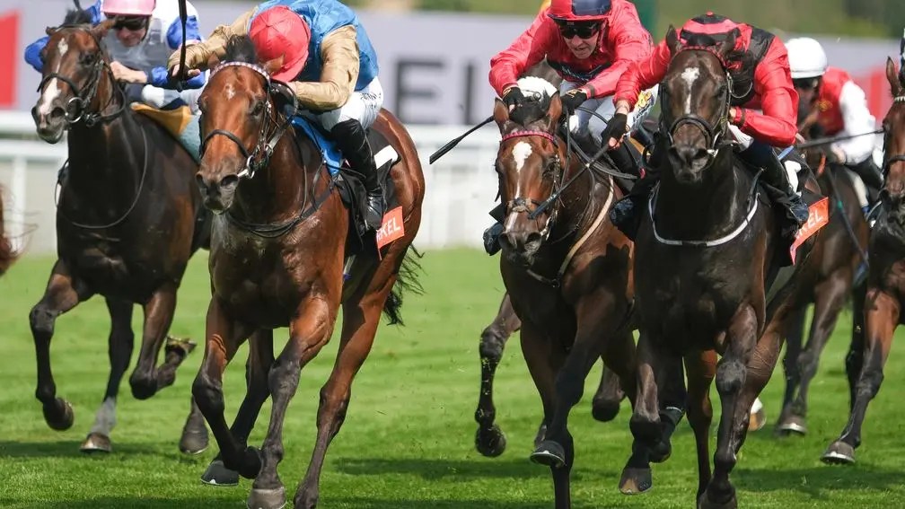 每日賽馬晚報（2024年8月2日），🇬🇧🇫🇷緋色威獅最快隆尚磨坊大賽復出，🇬🇧唯妙唯肖成聖烈治錦標奪標熱門之一