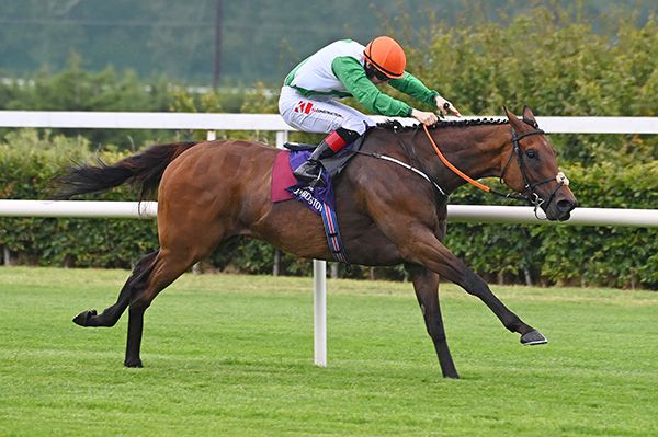 每日賽馬晚報（2024年8月9日），🇯🇵自由島天秋復出，🇮🇪🇦🇺黑晶瑩可以塑造墨盃神話