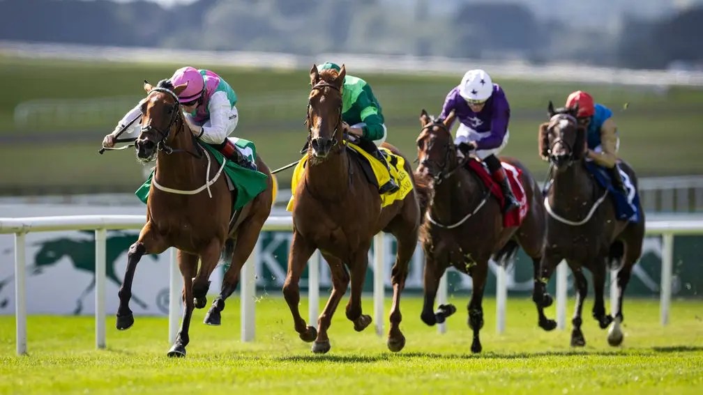 鳳凰錦標，Babouche擊敗雄馬