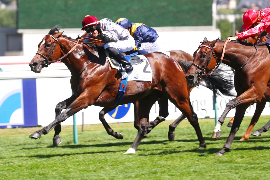 法國主力馬如何備戰凱旋門大賽