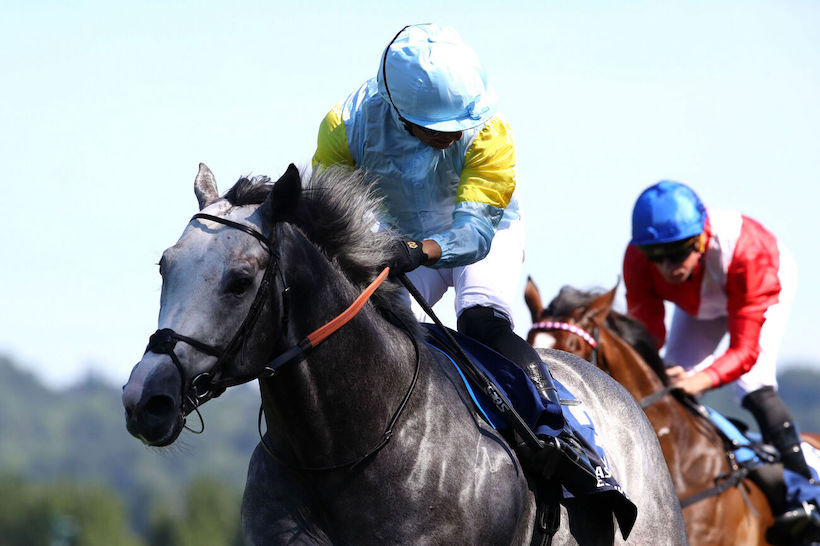 傑克莫華大賽，卓倫谷贏完再贏