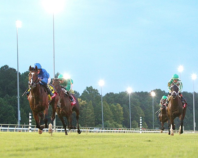 雅靈頓百萬金大賽，威國之榮重返勝利之路