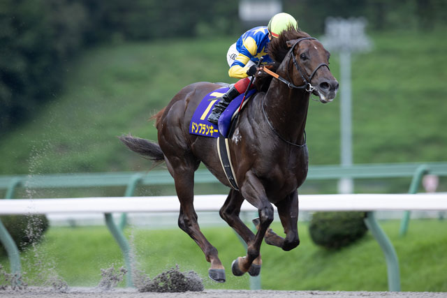 每日賽馬晚報（2024年8月14日），🇫🇷阿加汗盧傑馬匹即時轉投葛威法，🇯🇵快勁主帥贏地方賽為育馬者盃做準備