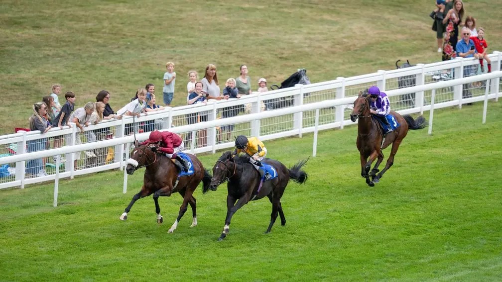 每日賽馬晚報（2024年8月15日），🇺🇸Kingsbarns退役做種馬，🇬🇧全新世紀表列賽輕取山嶺神廟