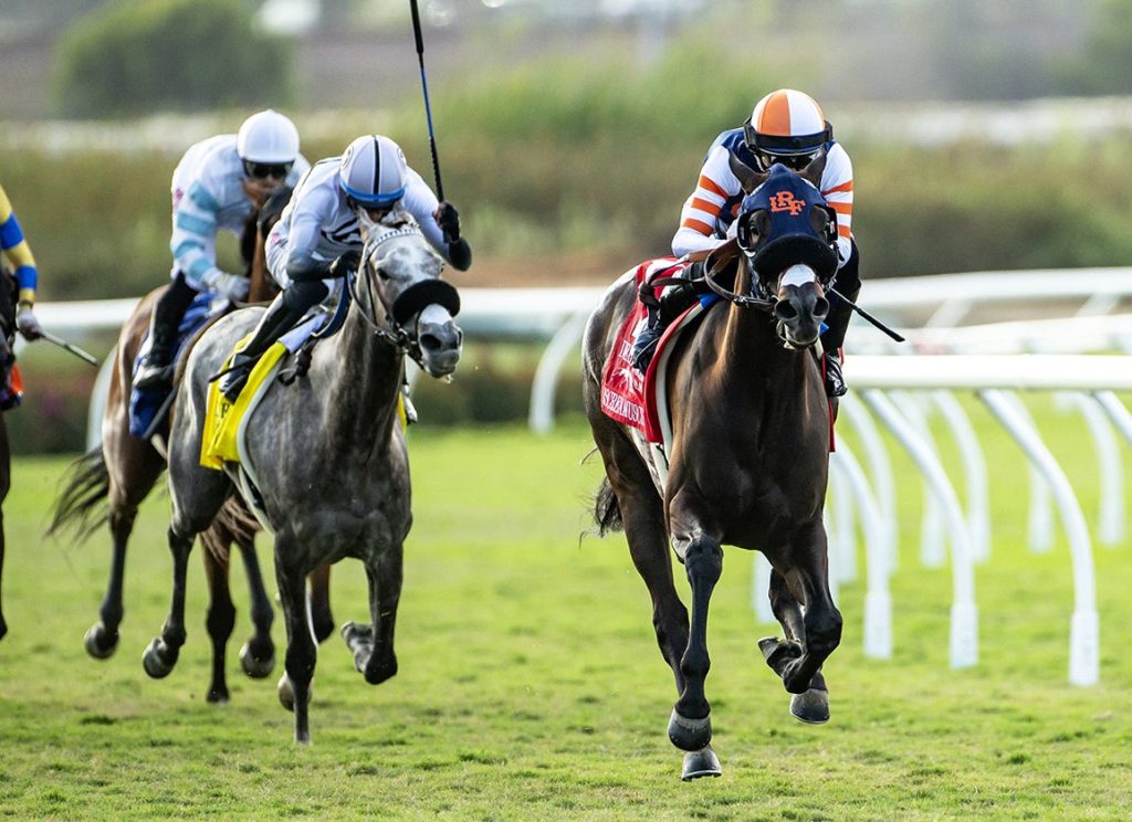 每日賽馬晚報（2024年8月19日），🇫🇷古摩亞高價購入金教堂子嗣，🇺🇸Iscreamuscream四戰全勝首勝一級賽