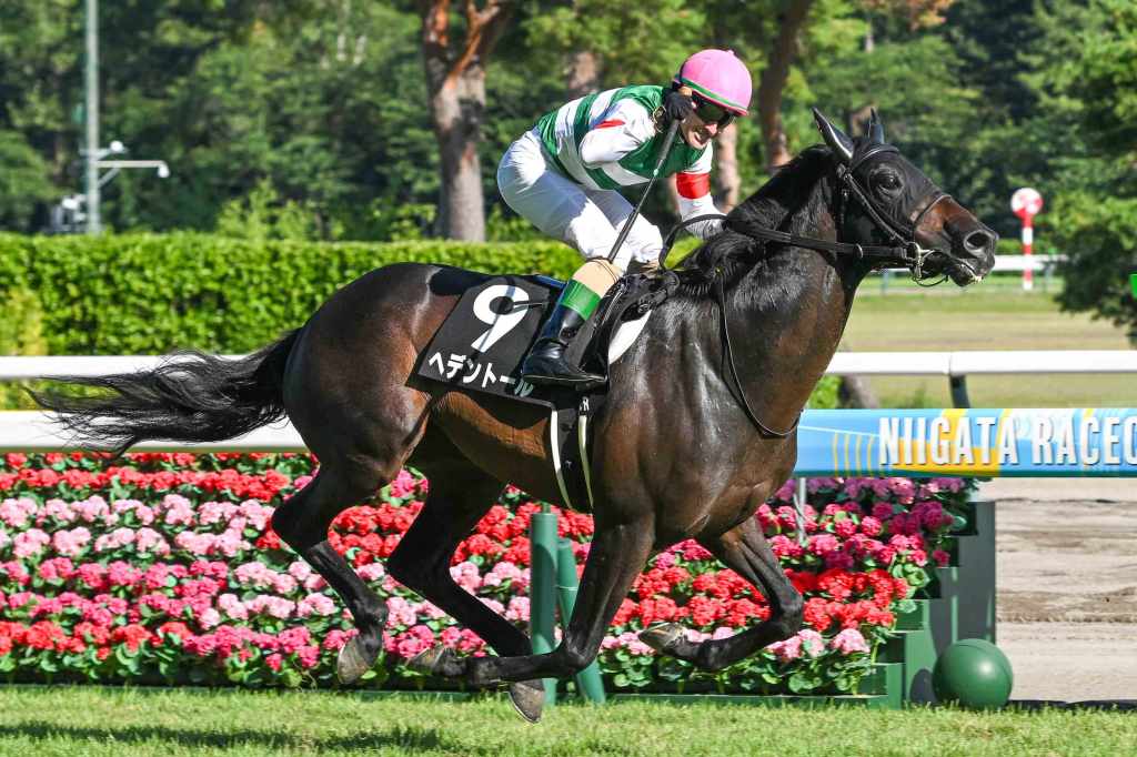 每日賽馬晚報（2025年1月21日），🇯🇵拯救者春季目標天皇賞，🇦🇪浪漫勇士中東首戰面對七駒對手