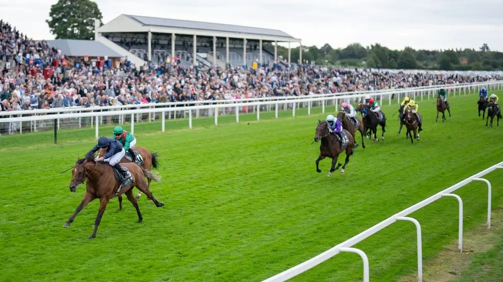 名戰古城成歐洲馬王