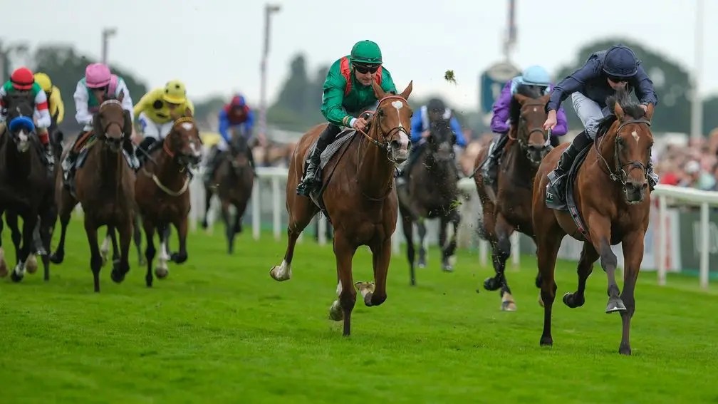 南圍馬場開放名戰古城公開操練免費入場