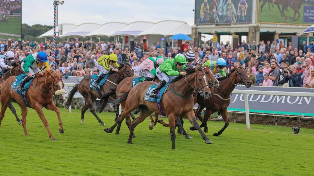 每日賽馬晚報（2024年8月22日），🇺🇸🇦🇺The Grey Wizard離參加墨爾本盃只差兩步，🇬🇧薛彭迪油斷騎乘停賽18天