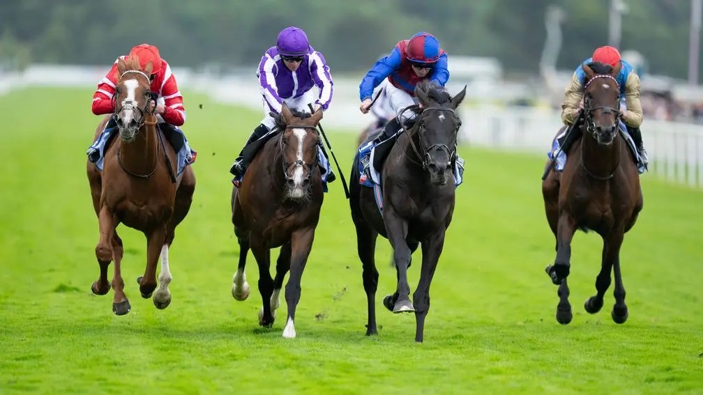 獲狄嘉錦標,南加名城蝕磅照贏