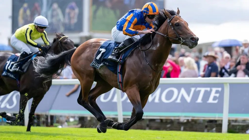 冬季獅能逆轉一級賽戰果？