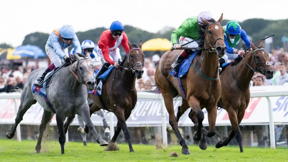 約克市錦標，旁觀者清失準，安逸小鎮爆冷贏馬