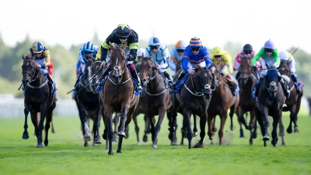 伊波讓賽,Magical Zoe可前往墨爾本盃