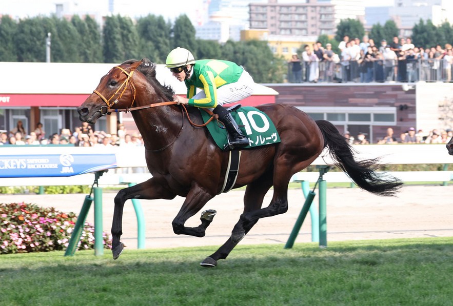 里見夢境連勝可成真？