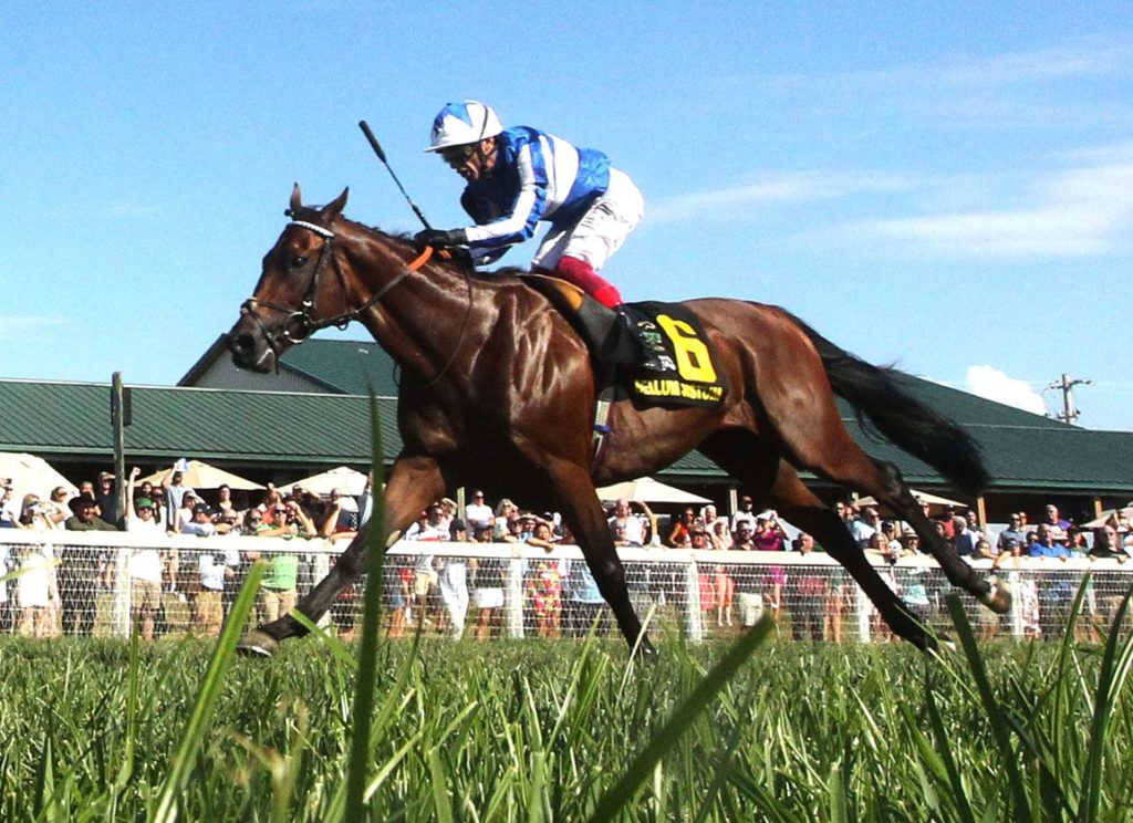 拿舒維爾打吡，戴圖理就在這裡，師出有名贏出