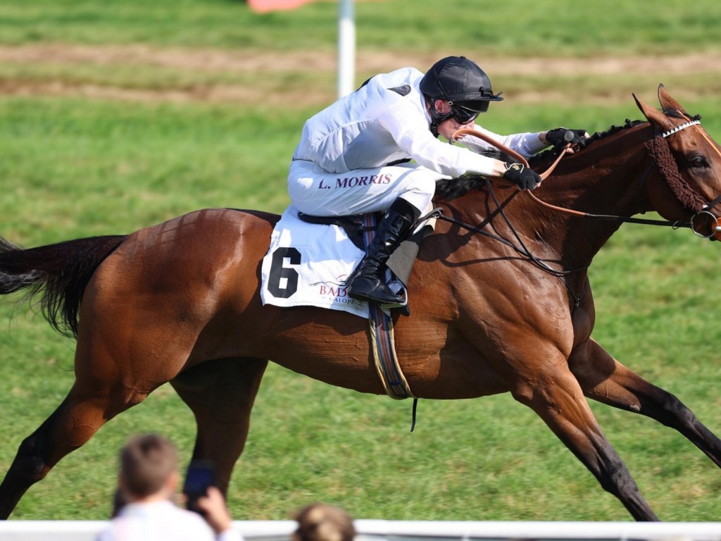 蹄風麗可否保持德國不敗佳績?