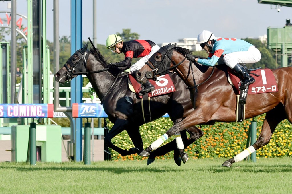 每日賽馬晚報（2024年9月8日），🇯🇵Christmas Parade快過皐月賞冠軍贏出紫苑錦標，🇬🇧好威童子週六終於取下第二勝
