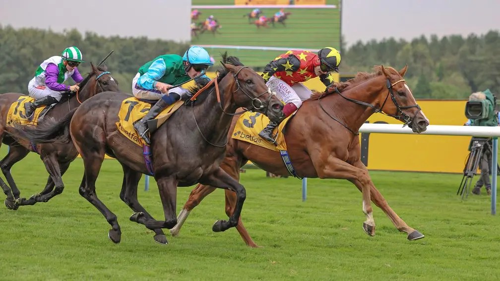 短途盃,滿鬥心爆出鬥志