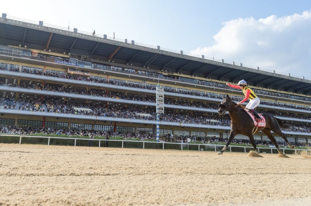 韓國國際賽事，燦然一新及冠威齊齊衛冕