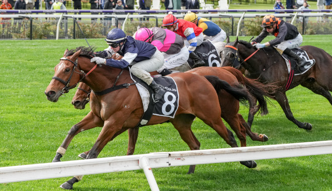 每日賽馬晚報（2024年9月14日），🇯🇵泥地怪傑赤兔馬永別，🇦🇺點數王獲墨爾本盃優先出賽資格