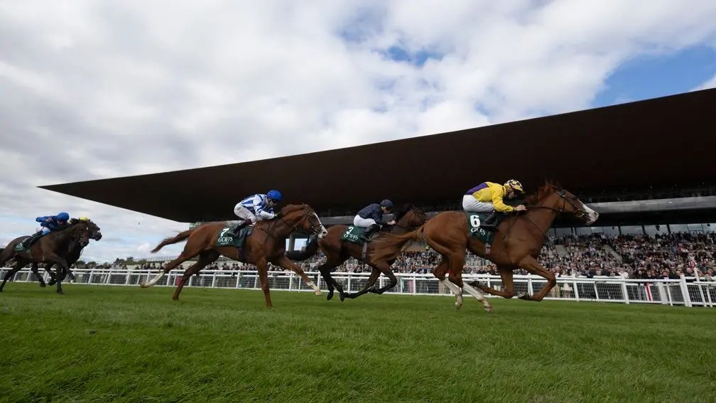 國家錦標，高分王保持穩定發揮