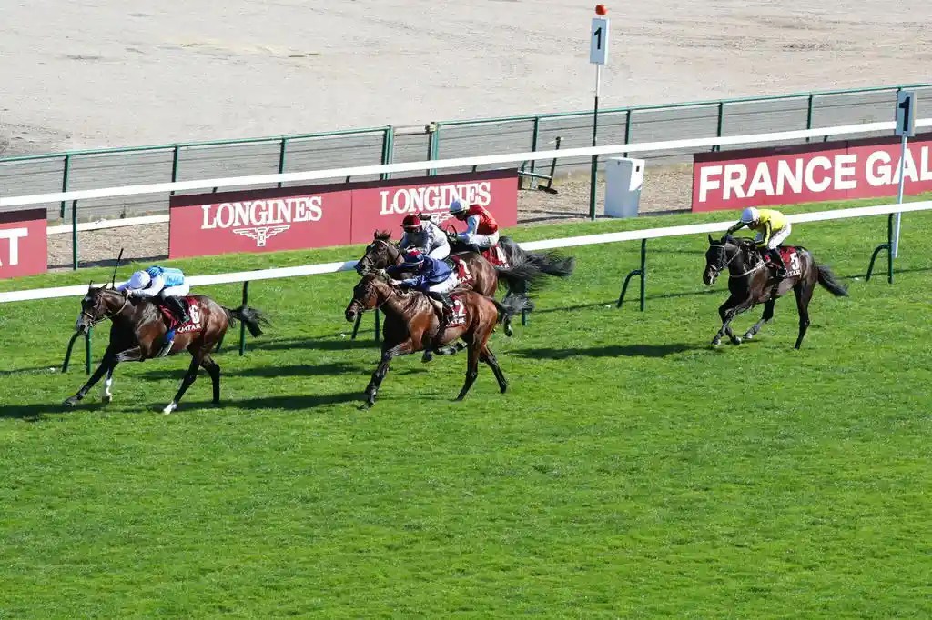 鮮紅葉再贏出福伊錦標，尼爾錦標同工之妙成最新大熱，凱旋門大賽賠率分析