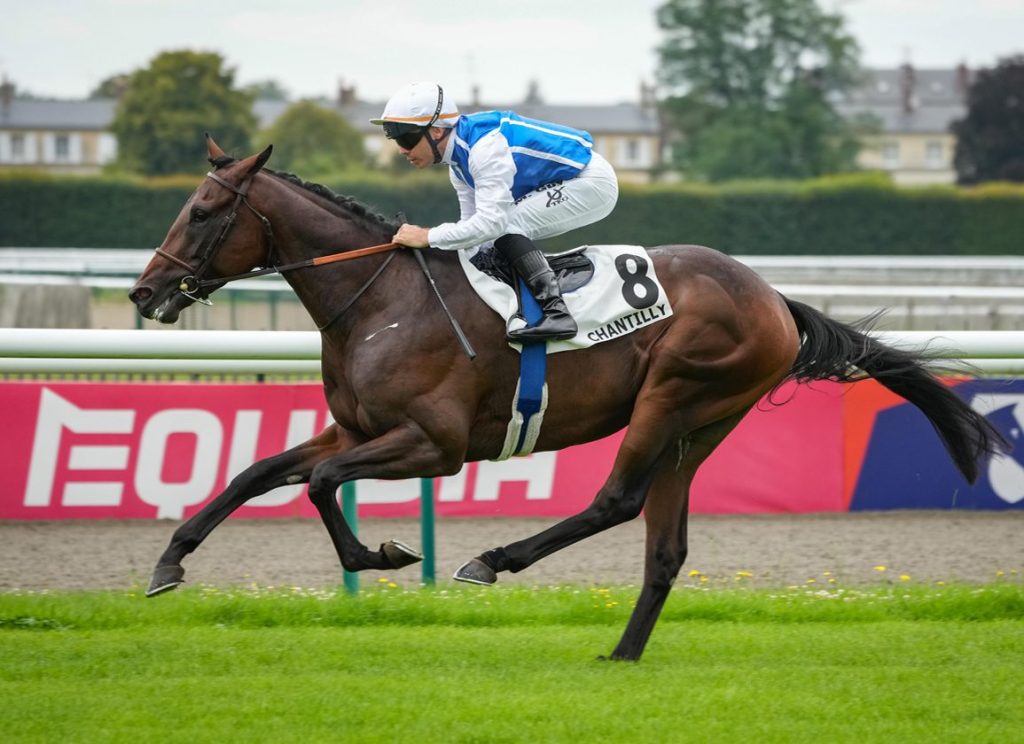 每日賽馬晚報（2024年9月18日），🇯🇵李慕華秋華賞鎖定雪嶺熱點，🇫🇷真強半弟初出即勝