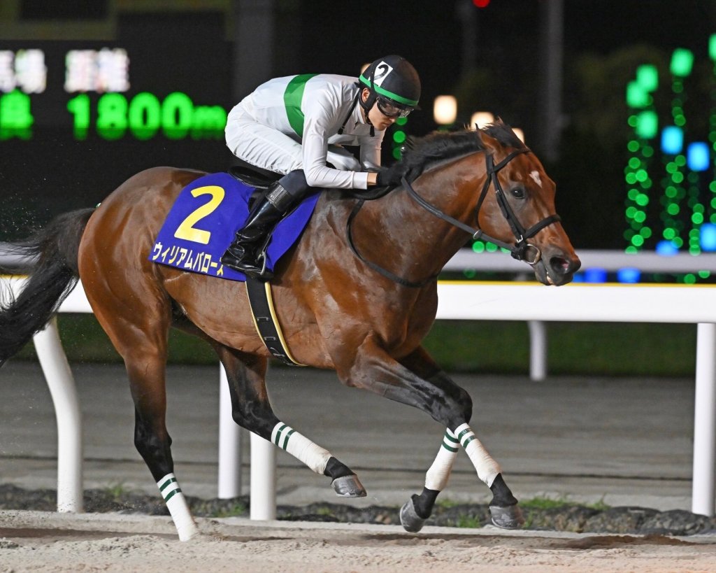 每日賽馬晚報（2024年9月26日），🇦🇺不戰而勝避戰墨盃考盃只剩輕磅馬，🇯🇵William Barows讓盈寶奇嶽中追不上