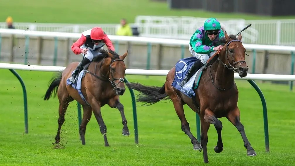 古摩亞一哩棄子布拉格