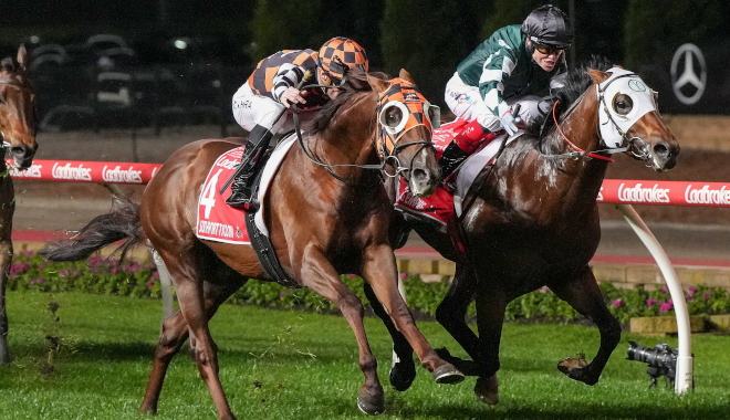 每日賽馬晚報（2024年9月28日），🇺🇸全部拿下不會參加育馬者盃，🇦🇺南港富豪再次爆冷贏萬利嘉多錦標，🇬🇧古摩亞棄將Prague大勝喬爾錦標