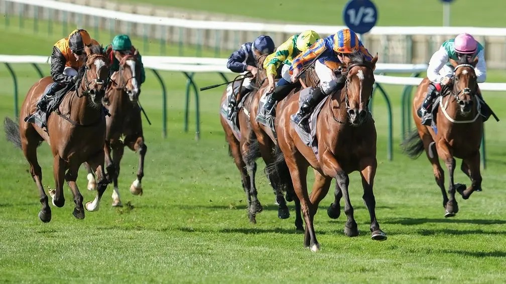 每日賽馬晚報（2024年9月29日），🇫🇷🇬🇧🇩🇪才情麗驥及月正滿天視天氣決定是否出戰凱旋門大賽，🇬🇧維多湖輕取卓維利園市馬錦標