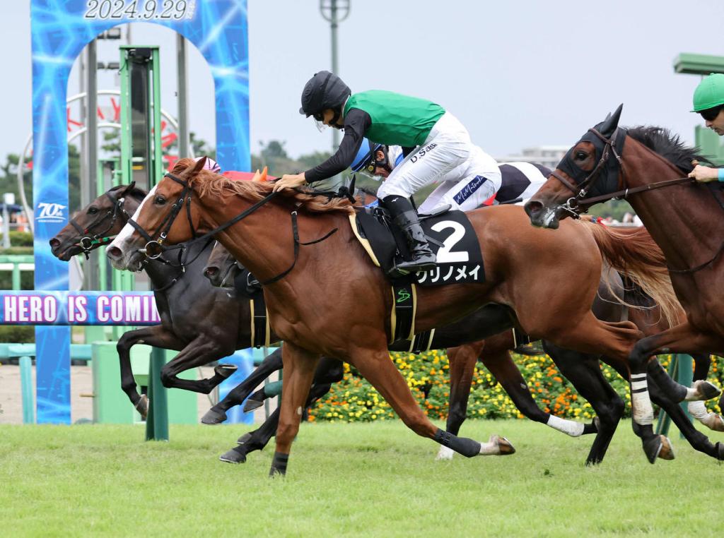 每日賽馬晚報（2024年10月1日），🇦🇺不戰而勝正式避戰墨爾本盃，🇫🇷凱旋門大賽報名馬名單出爐