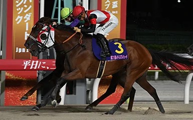 每日賽馬晚報（2024年10月2日），🇯🇵🇺🇸Cygames贊助育馬者盃賽事，🇫🇷🇬🇧才情麗驥正式加入凱旋門大賽