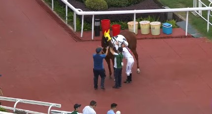 馬圈狂新聞187，脫離凱旋門大賽前的結界