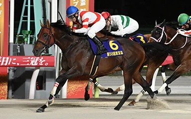 兩匹香港賽駒獲選參加韓國國際賽事