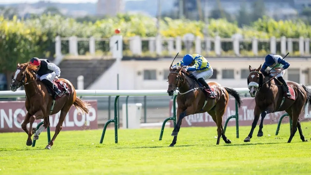 嘉登大賽，饒舌達成岳伯仁贏出最多一級賽的馬匹