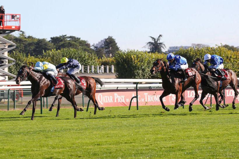 每日賽馬晚報（2024年11月28日），🇫🇷🇬🇧🇭🇰🇦🇺玉龍「訪港」兩駒各有安排，🇯🇵防爆裝束賽馬娘化