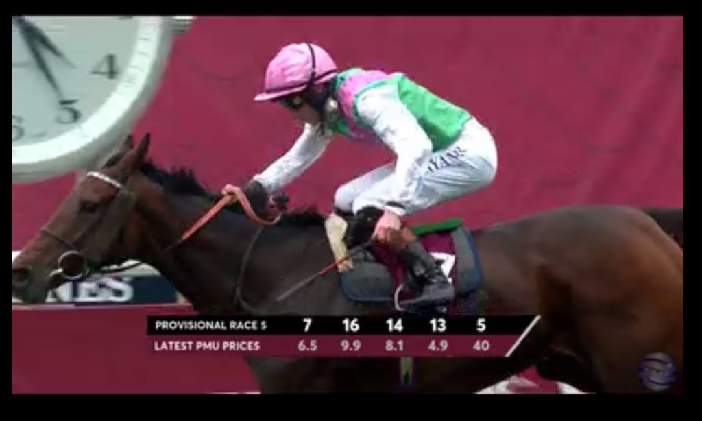 [快訊]紅寶錦標組勝出，才情麗驥奪得凱旋門大賽