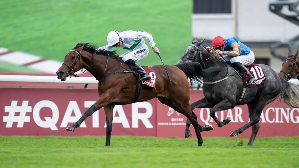 歌劇錦標，友情至上一門四傑並一吐烏氣