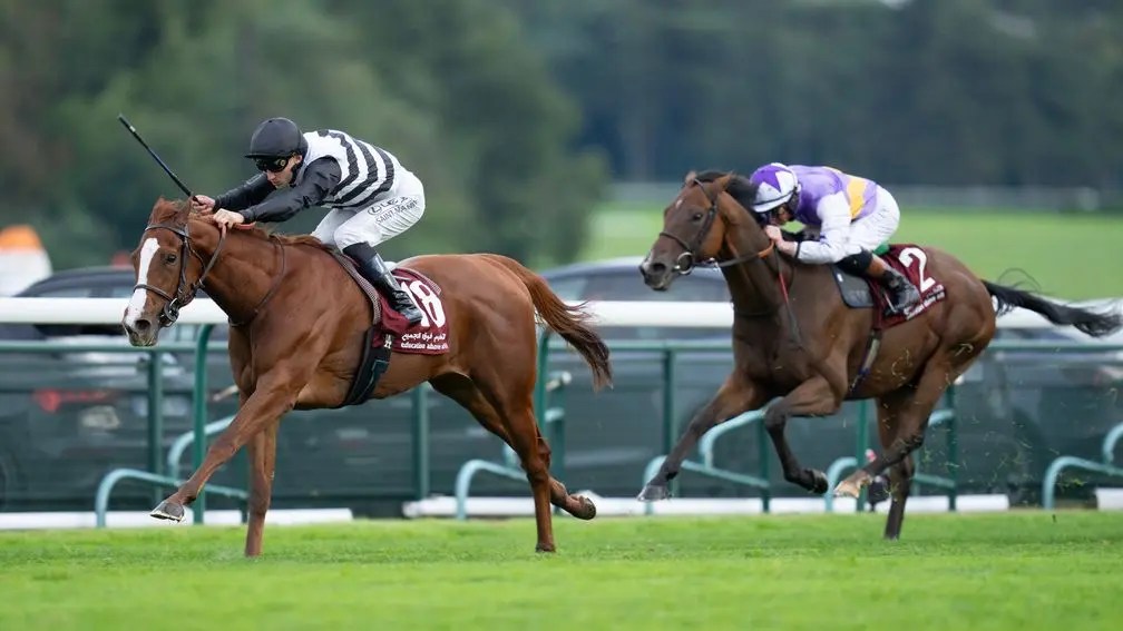 森林大賽,好地利休息夠大勝