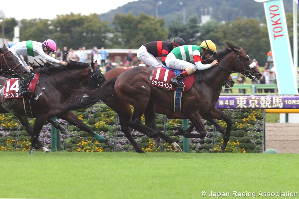 每日王冠，李慕華重新接手幸運銀幣即贏馬
