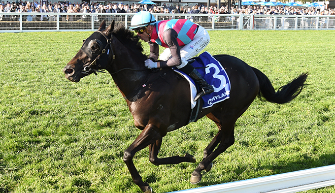 杜勒讓賽,好天朗瘋狂大勝現進軍國際賽機會?