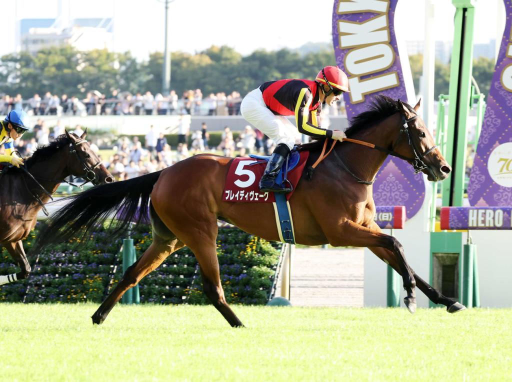 每日賽馬晚報（2025年2月28日），🇭🇰香港馬主個人養馬數增至七駒，🇯🇵🇦🇪寬道路參加杜拜草地大賽