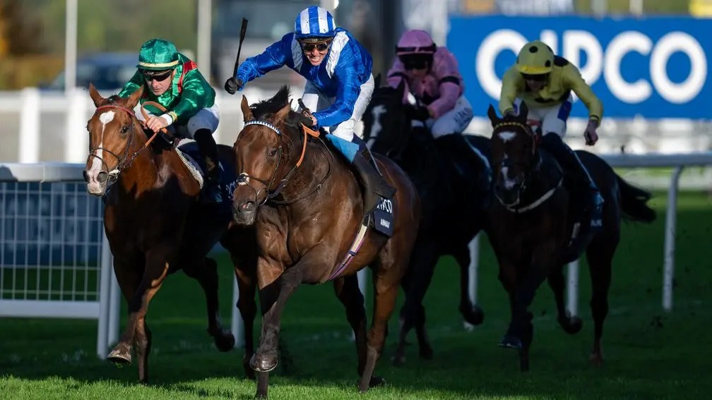 形於外有機會出戰愛爾蘭冠軍錦標