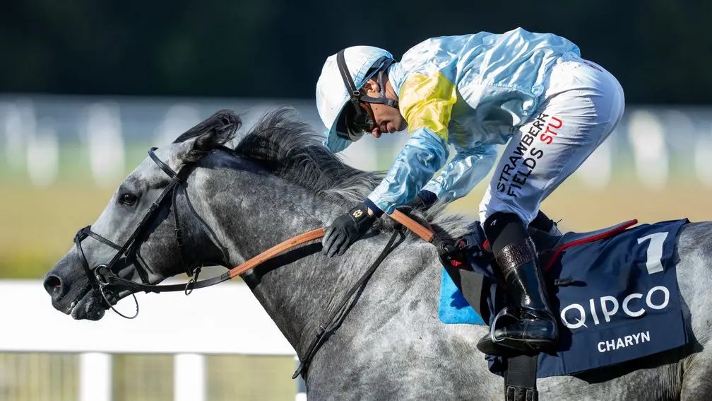 女皇伊利沙伯二世錦標,卓倫谷重返勝態