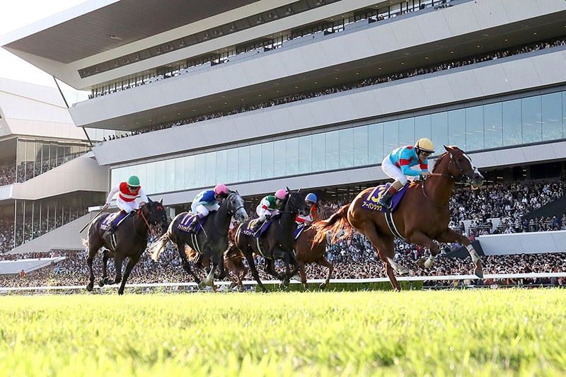 每日賽馬晚報（2025年11月21日），🇯🇵🇭🇰李慕華國際賽接騎Silk Racing座騎，🇺🇸Publisher返回處女馬賽仍未開齋