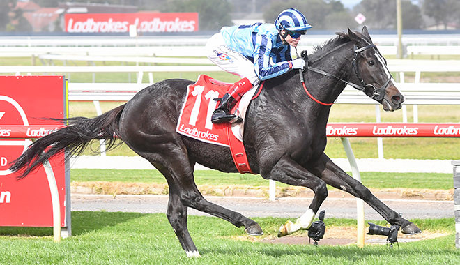 每日賽馬晚報（2024年10月23日），🇬🇧🇺🇸高仕登派上流貴婦出戰育馬者盃，🇦🇺暢如行雲征服智朗盃