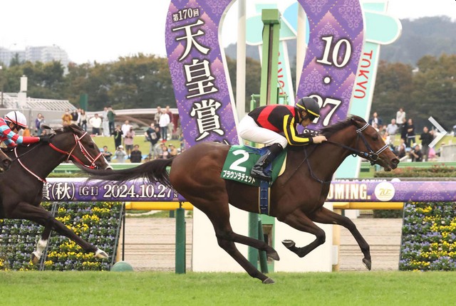 每日賽馬晚報（2024年12月6日），🇺🇸盧品善協議下無限期停賽，🇯🇵青春永駐半妹強攻京都一級賽