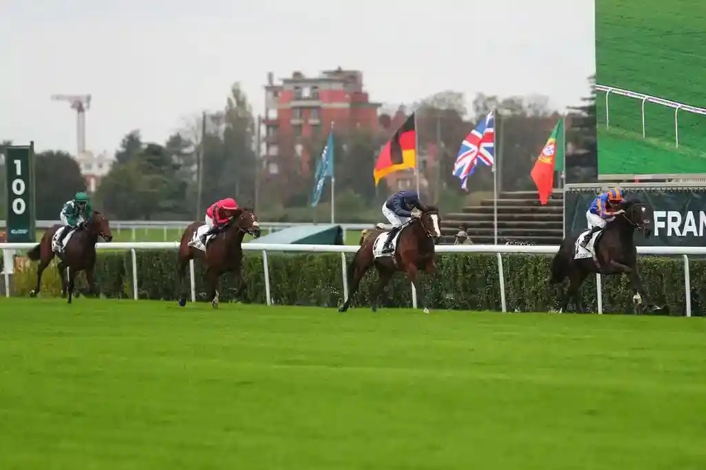 文豪高名退出二千堅尼，岳伯仁已找副車頂替